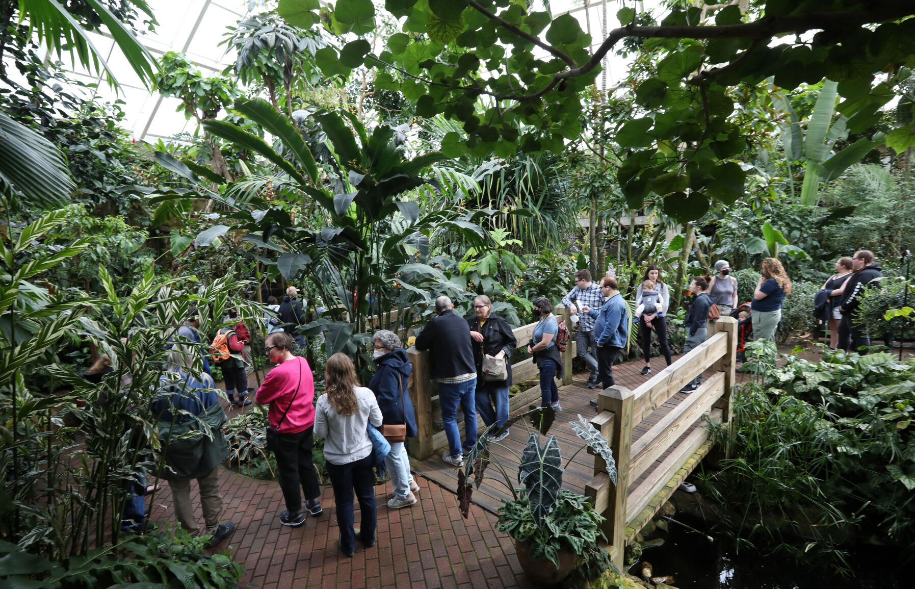 2022050503CorpseFlower0171AJA-05052022140849